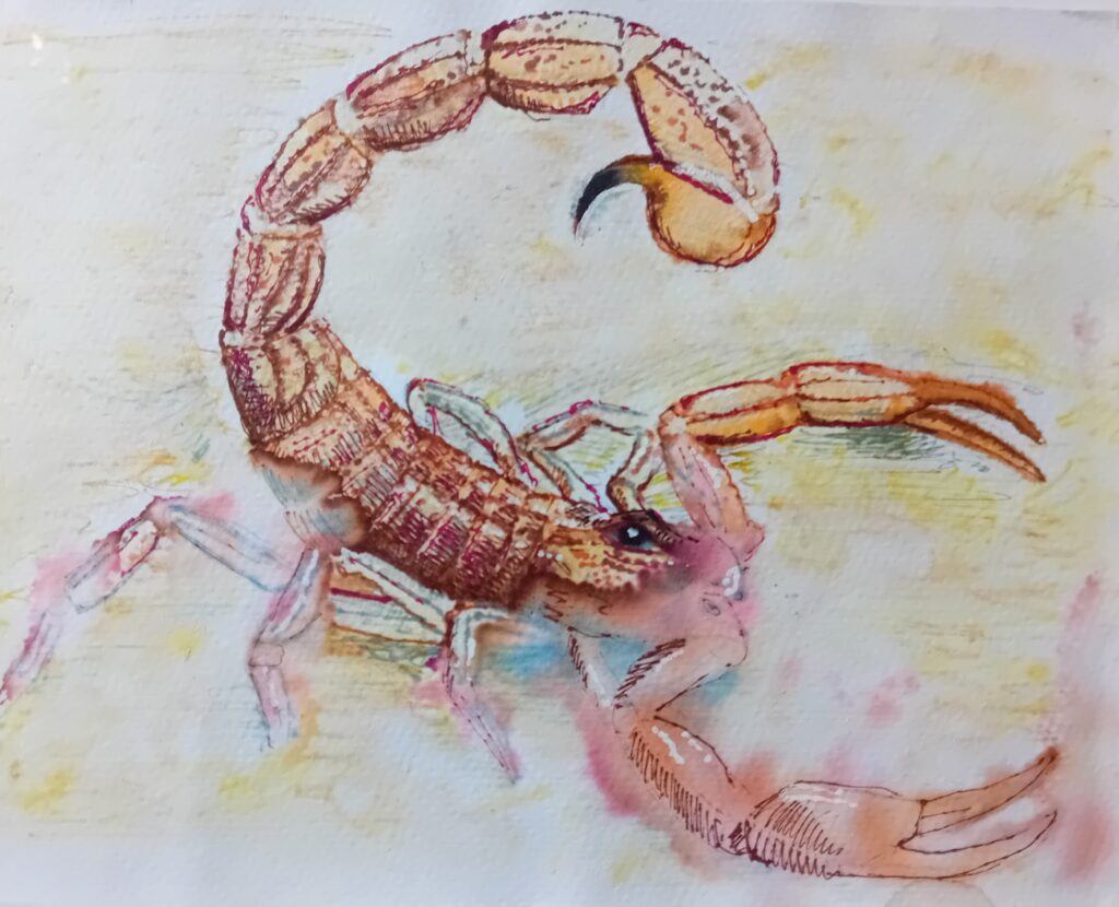 Scorpion painting by John Akayzar at Playtime Portraits